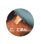 くぅちゃん stanppp.（個別スタンプ：1）