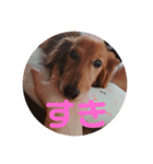 くぅちゃん stanppp.（個別スタンプ：7）