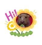 はむはむらんど2（個別スタンプ：3）