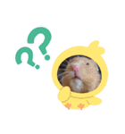 はむはむらんど2（個別スタンプ：5）