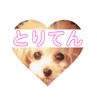 とりてんさまスタンプ。（個別スタンプ：3）