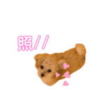 とりてんさまスタンプ。（個別スタンプ：5）