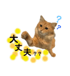 チャッピーと生活II（個別スタンプ：2）
