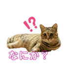 ねるのいちにち。（個別スタンプ：6）
