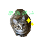 ねるのいちにち。（個別スタンプ：8）