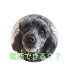 ベルちゃんのにちじょう3（個別スタンプ：11）