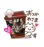 メタボ猫ですけどシリーズ2（個別スタンプ：6）