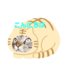 メタボ猫ですけどシリーズ2（個別スタンプ：8）