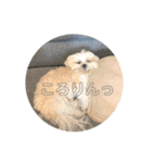 もこもこなかわいこちゃんたち（個別スタンプ：8）