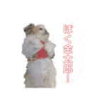もこもこなかわいこちゃんたち（個別スタンプ：9）