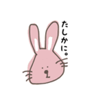 めがちっちゃいあにまるず（個別スタンプ：8）