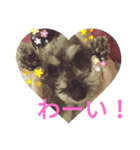 みゆ＆ここ（個別スタンプ：1）
