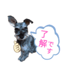 みゆ＆ここ（個別スタンプ：2）