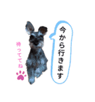 みゆ＆ここ（個別スタンプ：13）