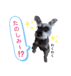 みゆ＆ここ（個別スタンプ：14）