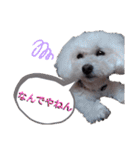 みゆ＆ここ（個別スタンプ：15）