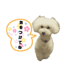 みゆ＆ここ（個別スタンプ：16）