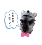 みゆ＆ここ（個別スタンプ：17）