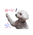 みゆ＆ここ（個別スタンプ：19）