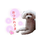 みゆ＆ここ（個別スタンプ：20）