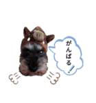 みゆ＆ここ（個別スタンプ：30）
