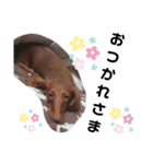 チェリー(  ´꒳`  )日常会話ver.（個別スタンプ：2）