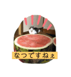 ポジティブワールド♬（個別スタンプ：5）