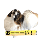 大好きレンくん（個別スタンプ：5）