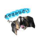 大好きレンくん（個別スタンプ：6）