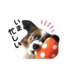 大好きレンくん（個別スタンプ：14）