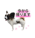 大好きレンくん（個別スタンプ：23）