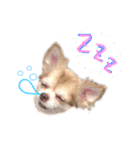 愛しのみゆちゃん①（個別スタンプ：1）