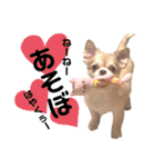 愛しのみゆちゃん①（個別スタンプ：5）