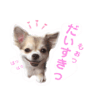愛しのみゆちゃん①（個別スタンプ：6）