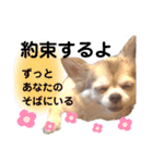 愛しのみゆちゃん①（個別スタンプ：7）