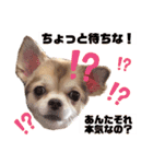 愛しのみゆちゃん①（個別スタンプ：9）