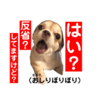 愛しのみゆちゃん①（個別スタンプ：10）