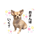 愛しのみゆちゃん①（個別スタンプ：12）