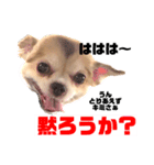 愛しのみゆちゃん①（個別スタンプ：14）