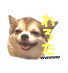 愛しのみゆちゃん①（個別スタンプ：15）