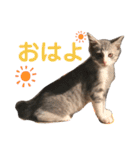 陽気なLEA☀︎（個別スタンプ：1）