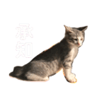 陽気なLEA☀︎（個別スタンプ：8）