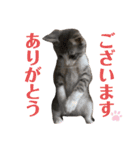 陽気なLEA☀︎（個別スタンプ：11）