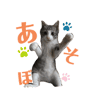 陽気なLEA☀︎（個別スタンプ：12）