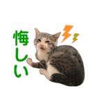 陽気なLEA☀︎（個別スタンプ：16）