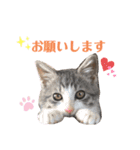 陽気なLEA☀︎（個別スタンプ：19）