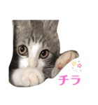 陽気なLEA☀︎（個別スタンプ：25）