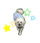 ペペココ❗️（個別スタンプ：3）