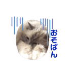 まじ天使猫ちゃんのパステル3（個別スタンプ：38）