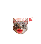 My cat2__（個別スタンプ：14）